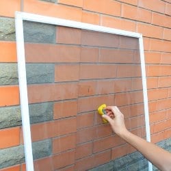 Limpieza de mosquiteras