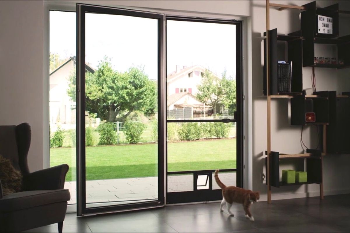 Vivienda con mosquiteras con gatera