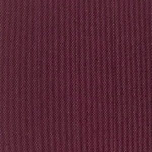 estor autoenrollable translucido mod. cies